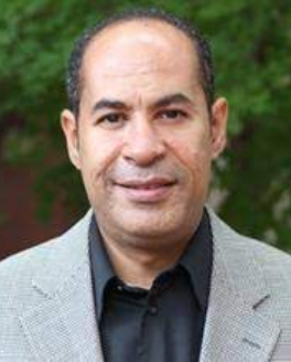 الدكتور محمد النواوي