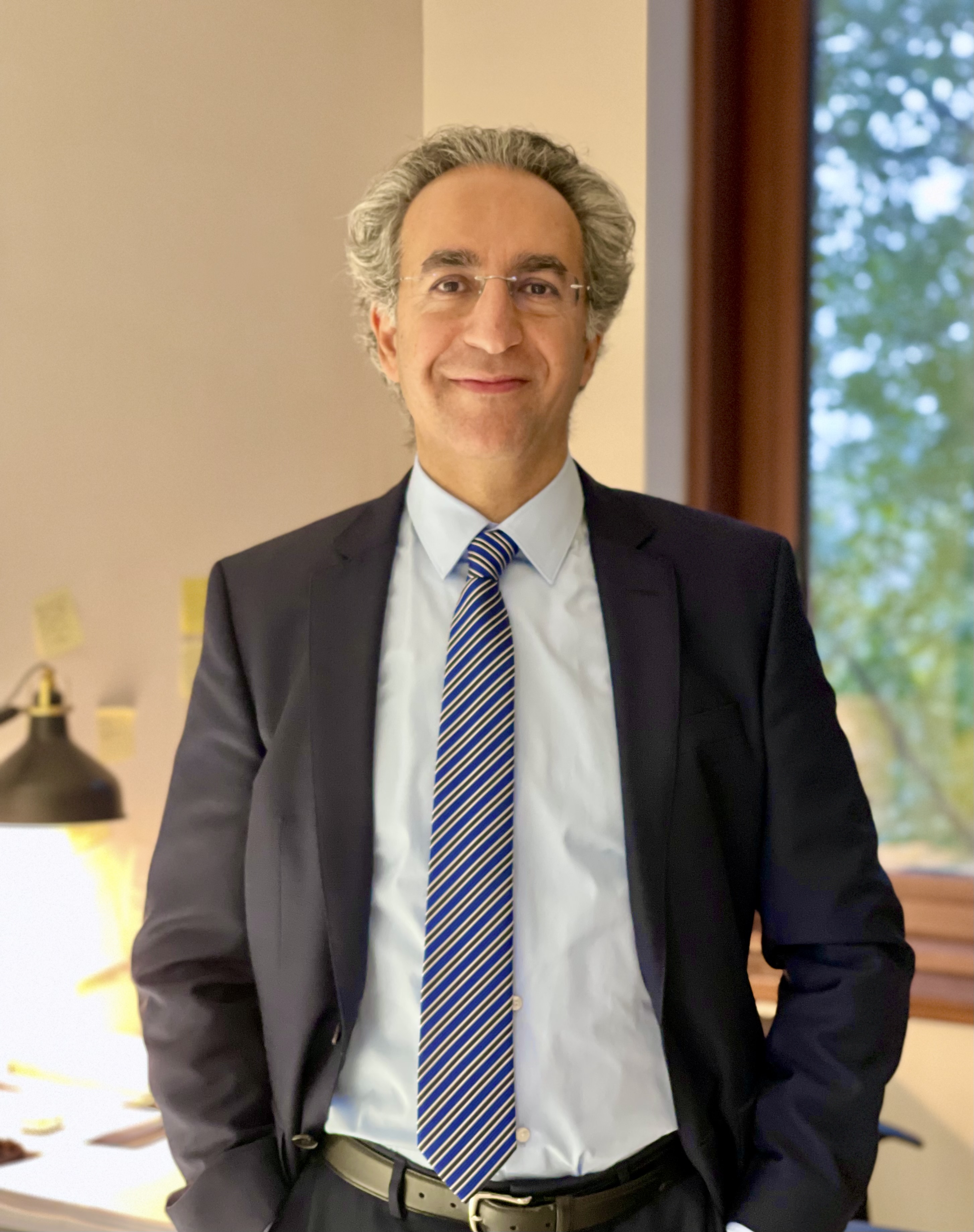 Dr. Bassel F. Salloukh